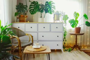 Tips for Creating a Cozy and Inviting Living Room Space on a Budget