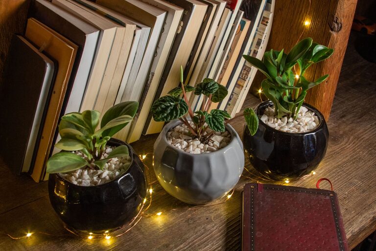 Tips for Creating a Cozy and Inviting Home Environment